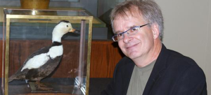 Dr. Glen Chilton and the ROM's stuffed Labrador duck